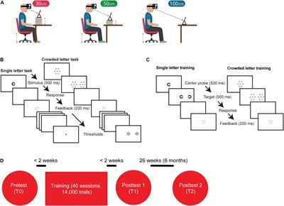 Broad and Long-Lasting Vision Improvements in Youth With Infantile Nystagmus After Home Training With a Perceptual Learning App